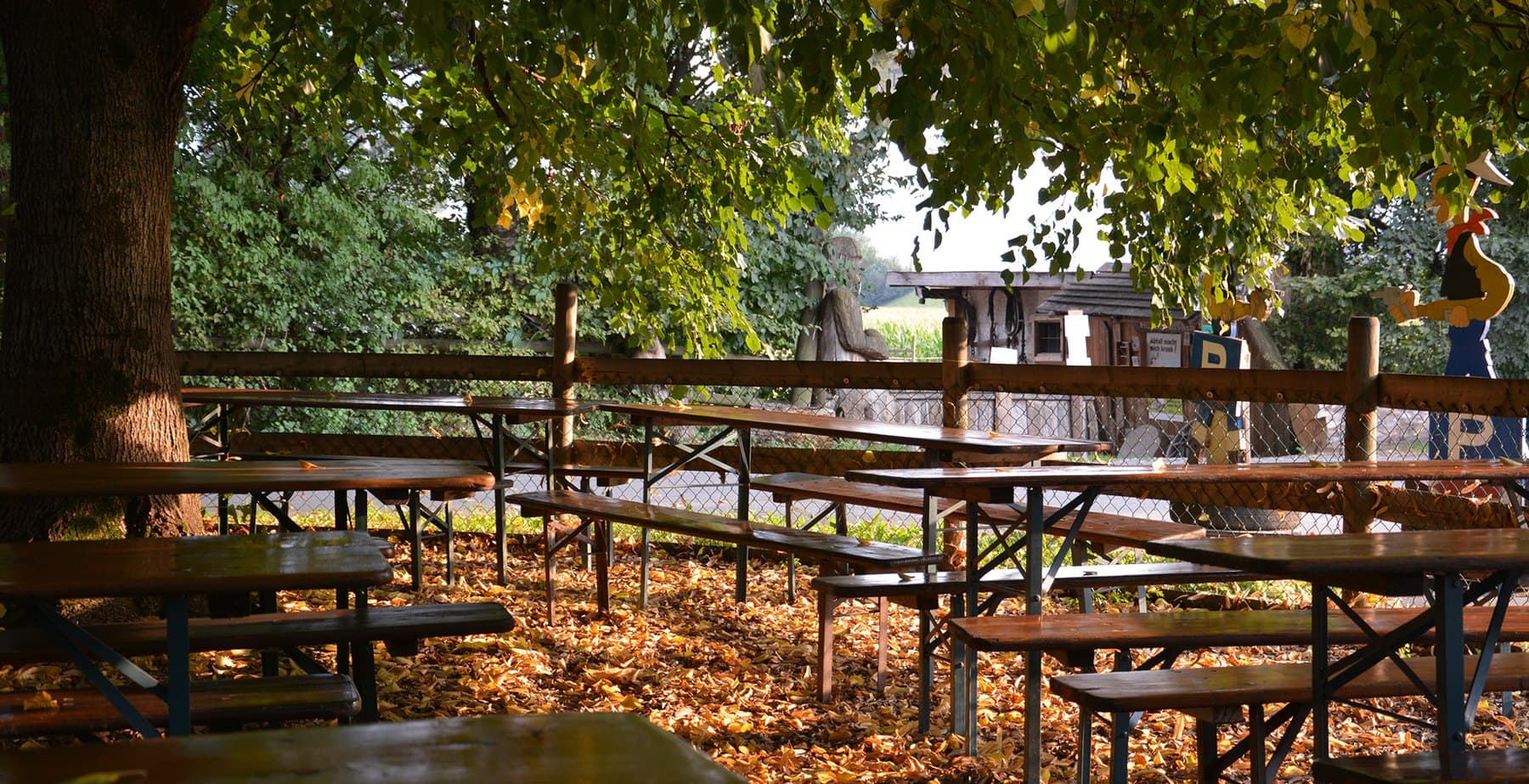 Biertischgarnituren unter dem grossen Baum im Herbstlaub vor der Westernkulisse